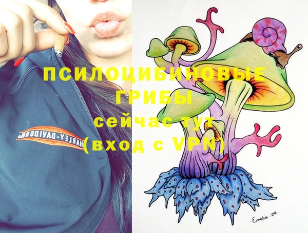 Альфа ПВП Балабаново
